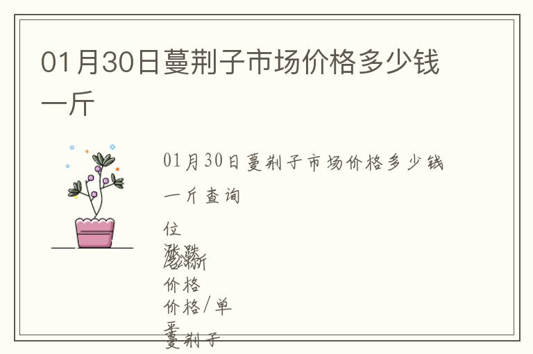 01月30日蔓荊子市場價(jià)格多少錢一斤