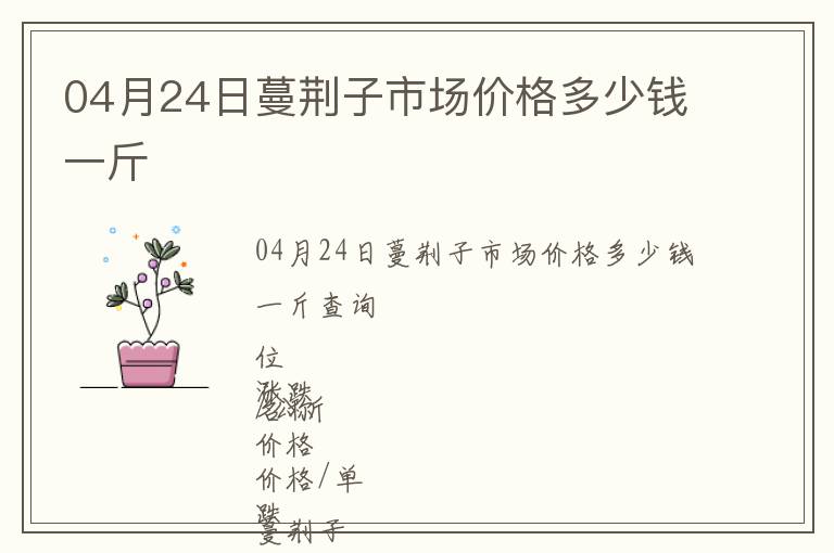 04月24日蔓荊子市場價格多少錢一斤