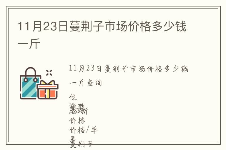 11月23日蔓荊子市場價格多少錢一斤