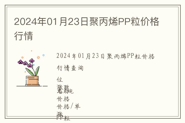 2024年01月23日聚丙烯PP粒價格行情
