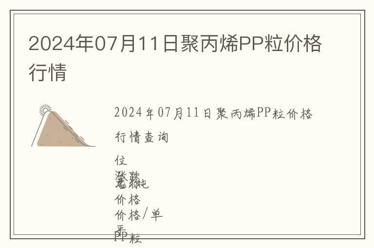 2024年07月11日聚丙烯PP粒價格行情