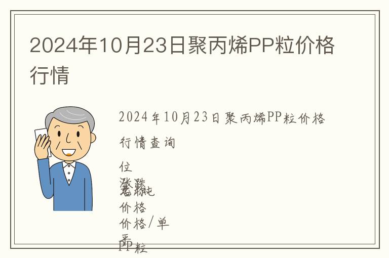2024年10月23日聚丙烯PP粒價格行情