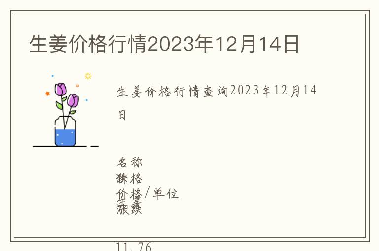 生姜價(jià)格行情2023年12月14日