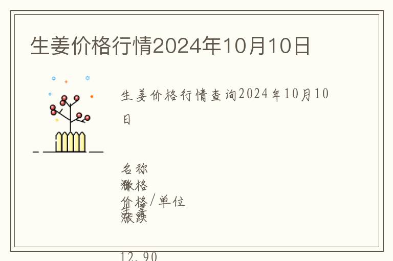 生姜價格行情2024年10月10日