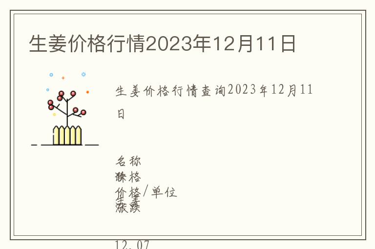 生姜價格行情2023年12月11日