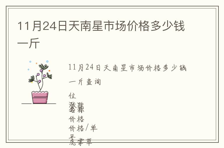 11月24日天南星市場價格多少錢一斤