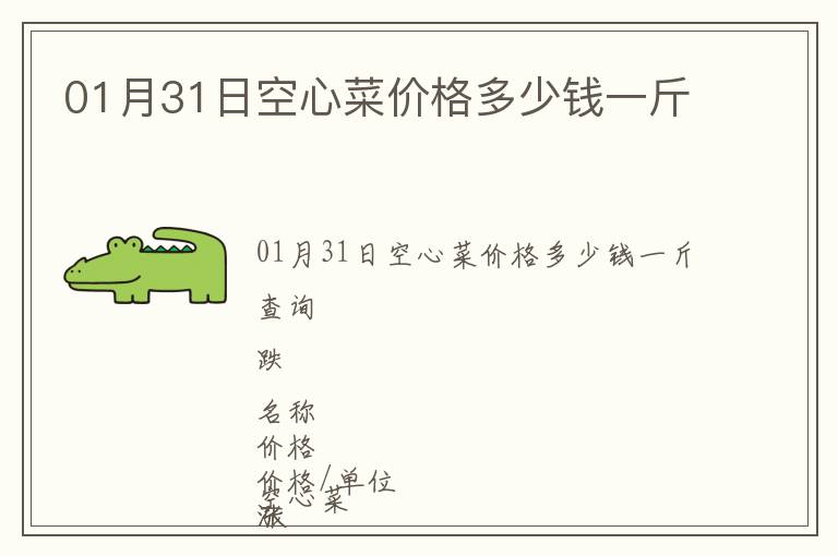 01月31日空心菜價格多少錢一斤
