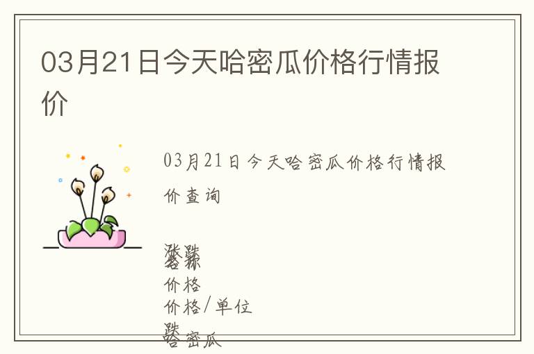 03月21日今天哈密瓜價格行情報價