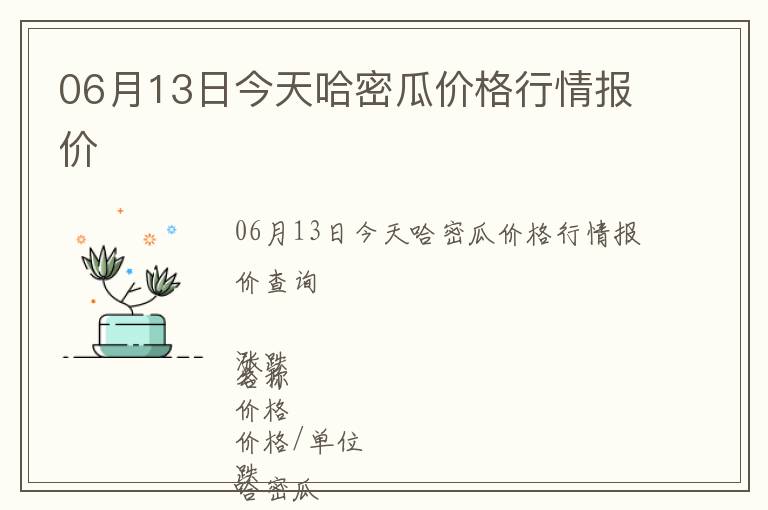 06月13日今天哈密瓜價格行情報價