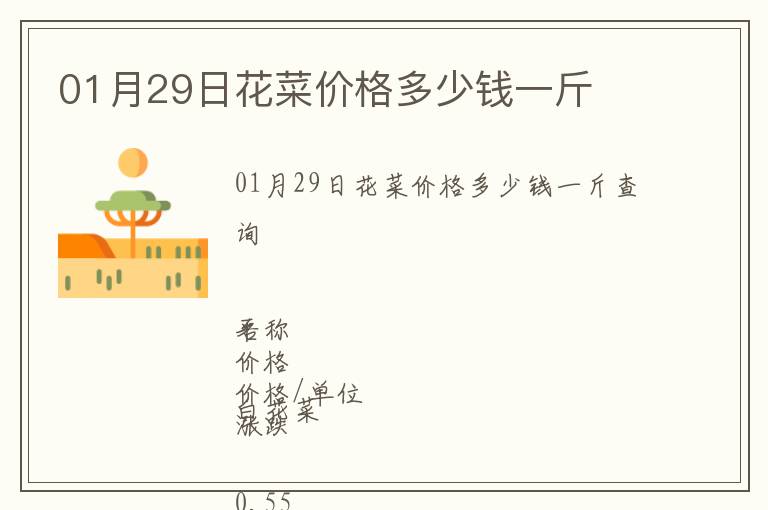 01月29日花菜價格多少錢一斤