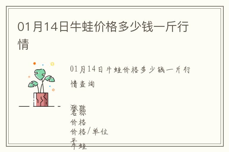 01月14日牛蛙價格多少錢一斤行情