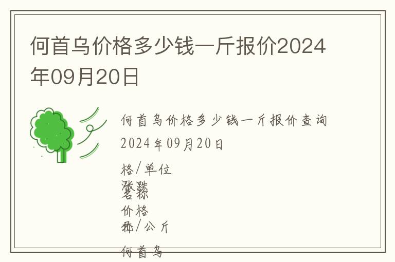 何首烏價格多少錢一斤報價2024年09月20日