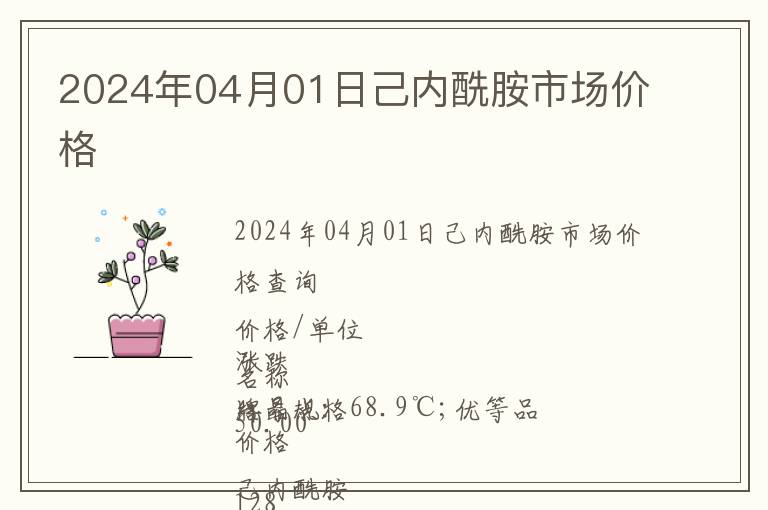 2024年04月01日己內酰胺市場價格