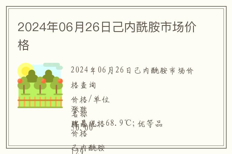 2024年06月26日己內酰胺市場價格