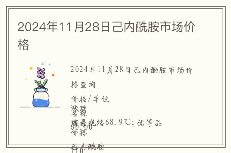 2024年11月28日己內酰胺市場價格