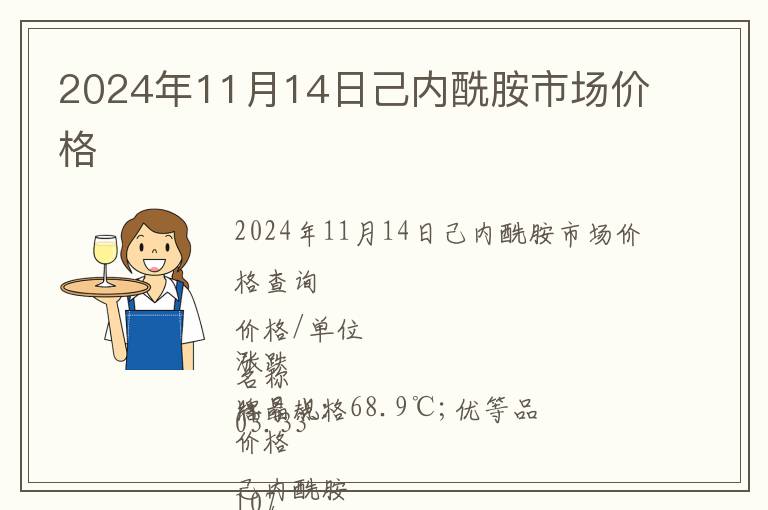 2024年11月14日己內酰胺市場價格