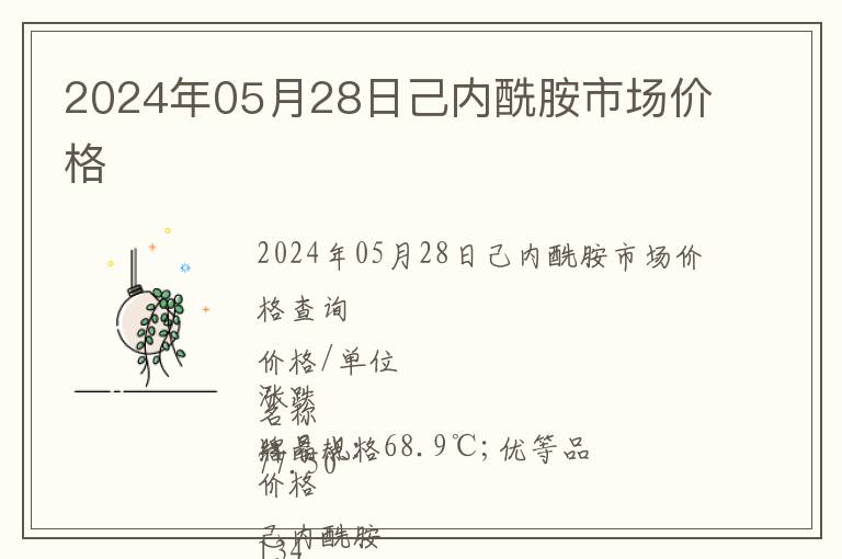 2024年05月28日己內(nèi)酰胺市場(chǎng)價(jià)格