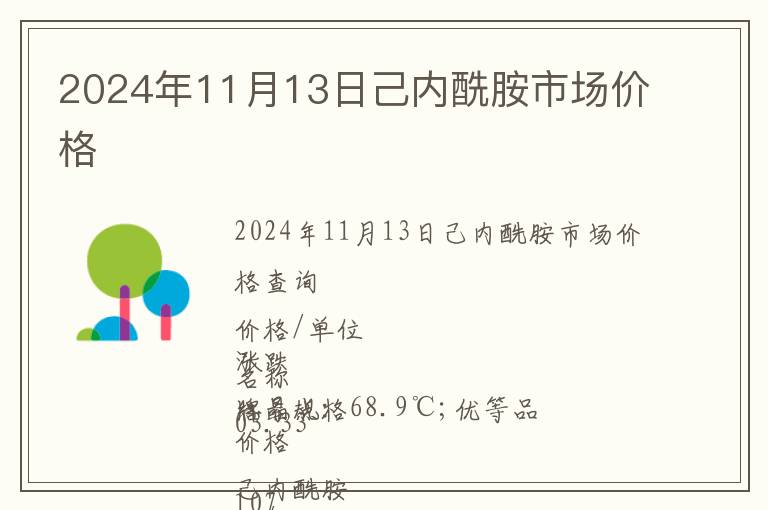 2024年11月13日己內酰胺市場價格
