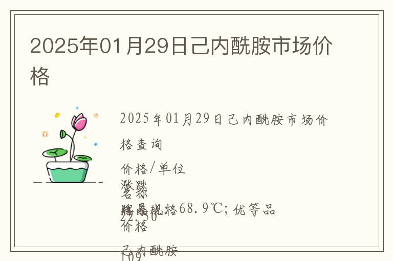 2025年01月29日己內酰胺市場價格