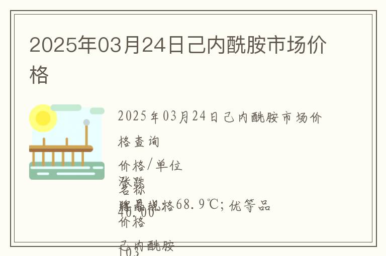 2025年03月24日己內酰胺市場價格