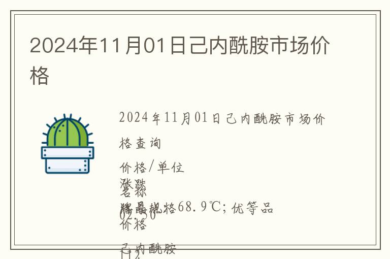 2024年11月01日己內酰胺市場價格