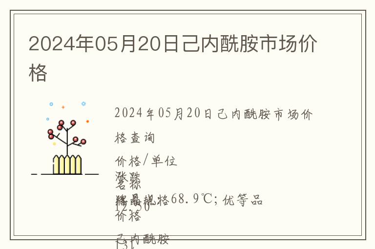2024年05月20日己內酰胺市場價格