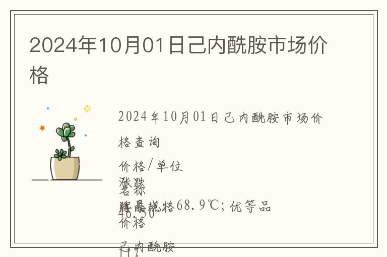 2024年10月01日己內酰胺市場價格