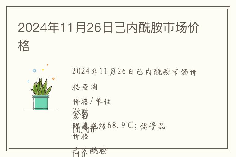 2024年11月26日己內(nèi)酰胺市場價格