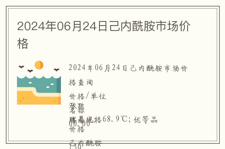2024年06月24日己內酰胺市場價格