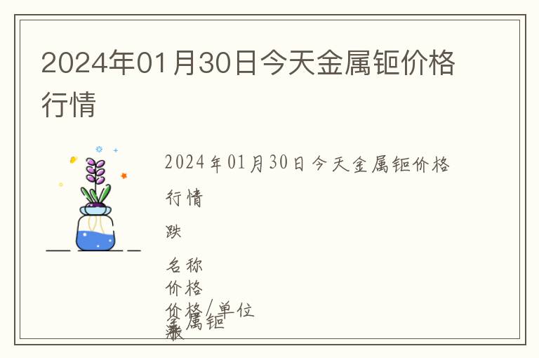2024年01月30日今天金屬钷價(jià)格行情