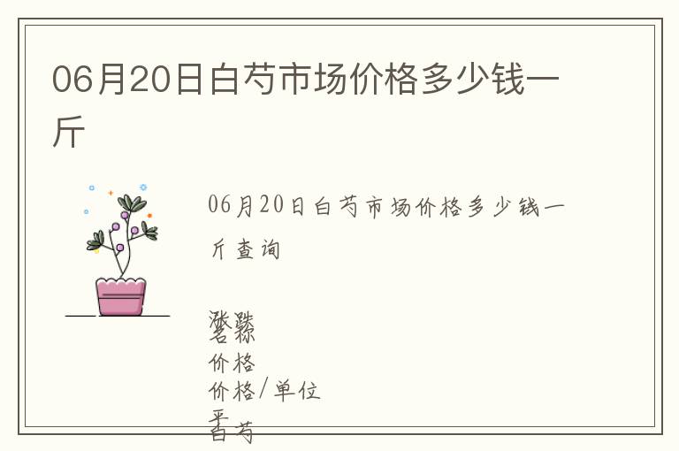 06月20日白芍市場(chǎng)價(jià)格多少錢一斤