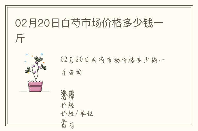 02月20日白芍市場價格多少錢一斤
